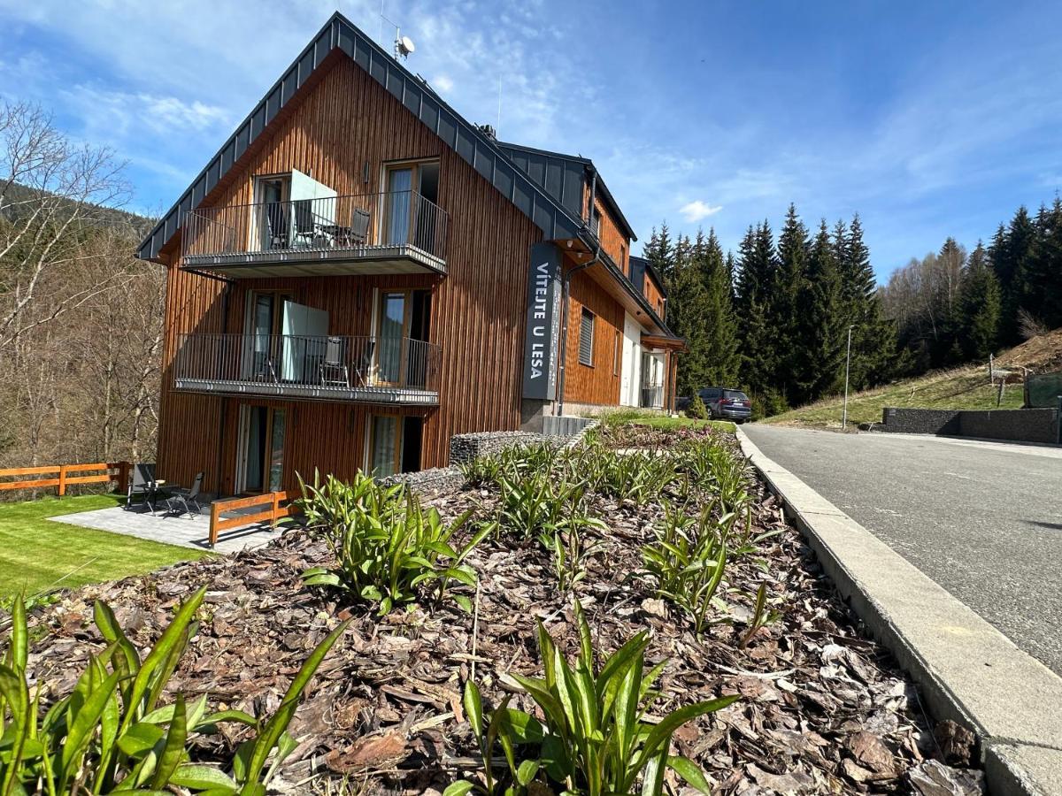 Apartmány u Lesa Dolní Morava Exterior foto