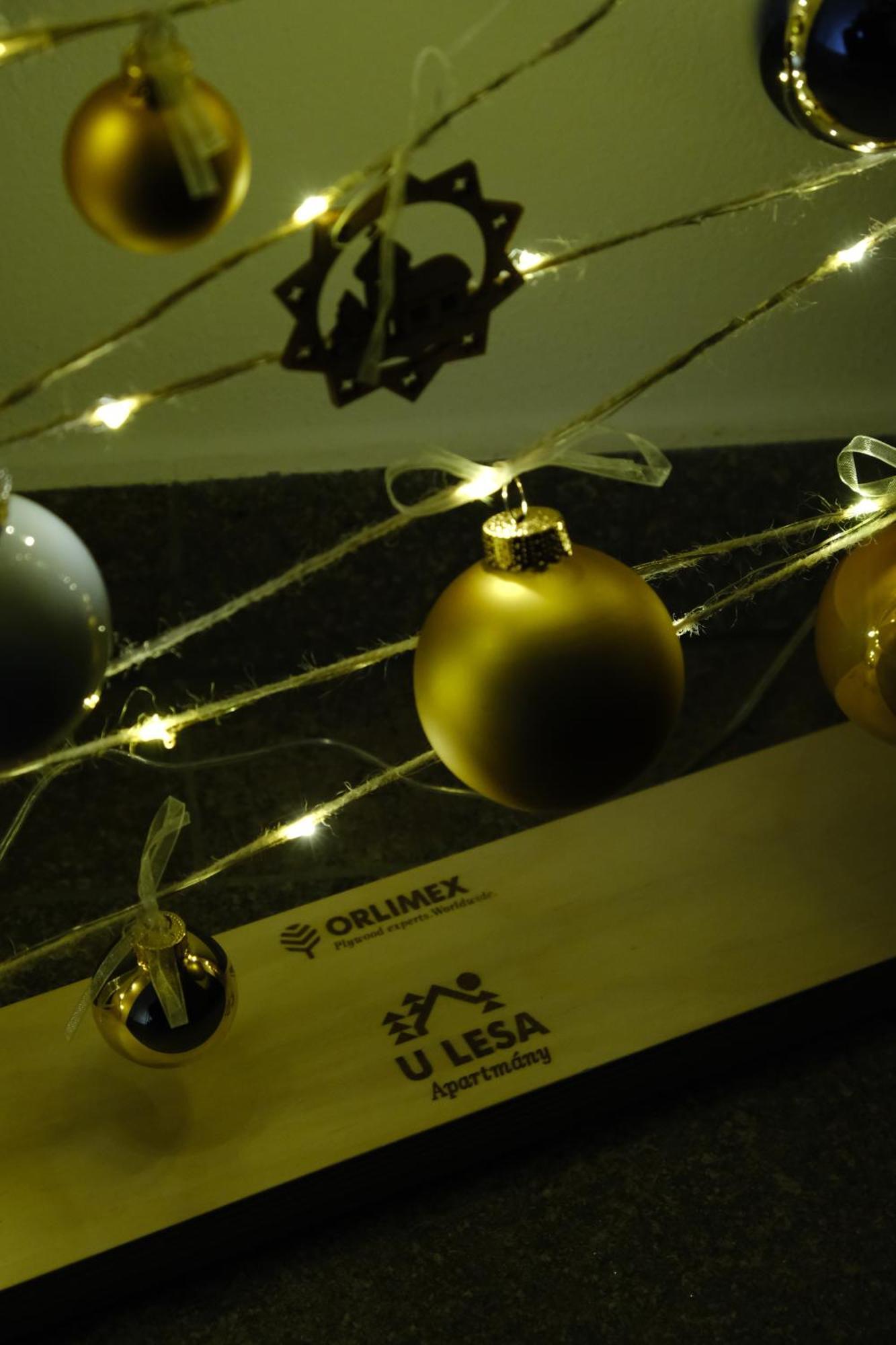 Apartmány u Lesa Dolní Morava Habitación foto